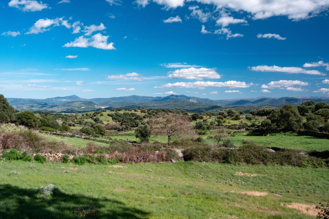 Sedilo Binzas Betzas Agriturismo מראה חיצוני תמונה