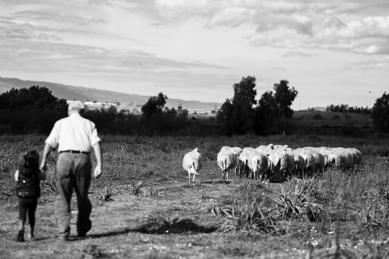 Sedilo Binzas Betzas Agriturismo מראה חיצוני תמונה