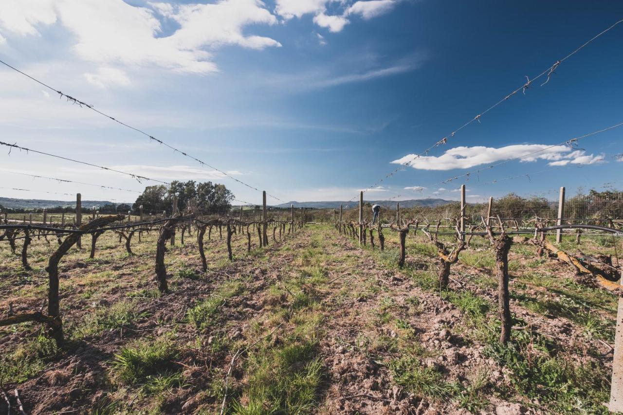 Sedilo Binzas Betzas Agriturismo מראה חיצוני תמונה